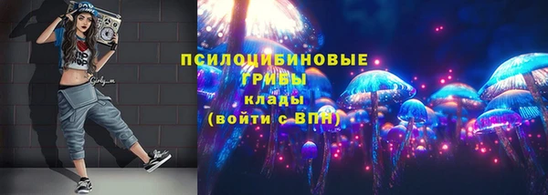mdpv Няндома