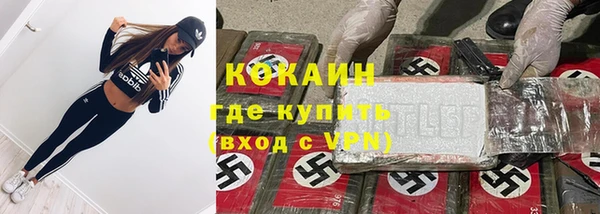 mdpv Няндома