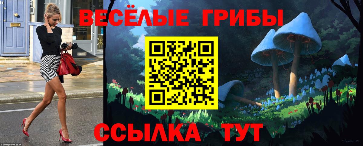 как найти закладки  Галлюциногенные грибы MAGIC MUSHROOMS  Черногорск  Галлюциногенные грибы прущие грибы 