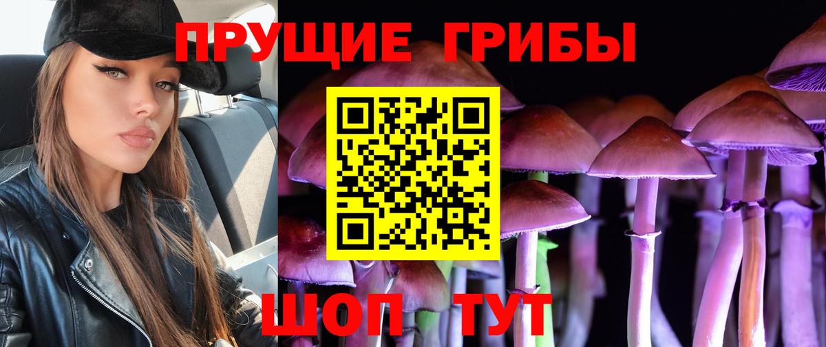 Псилоцибиновые грибы ЛСД Черногорск