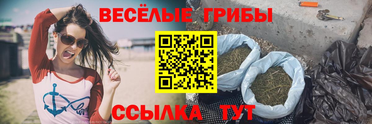 Черногорск  Галлюциногенные грибы мухоморы  Вход с VPN 