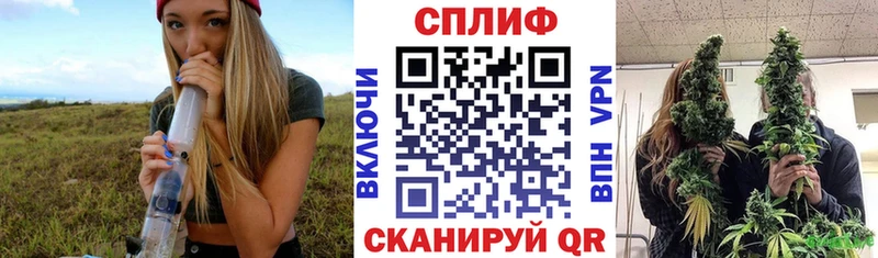 Бошки Шишки ГИДРОПОН Черногорск